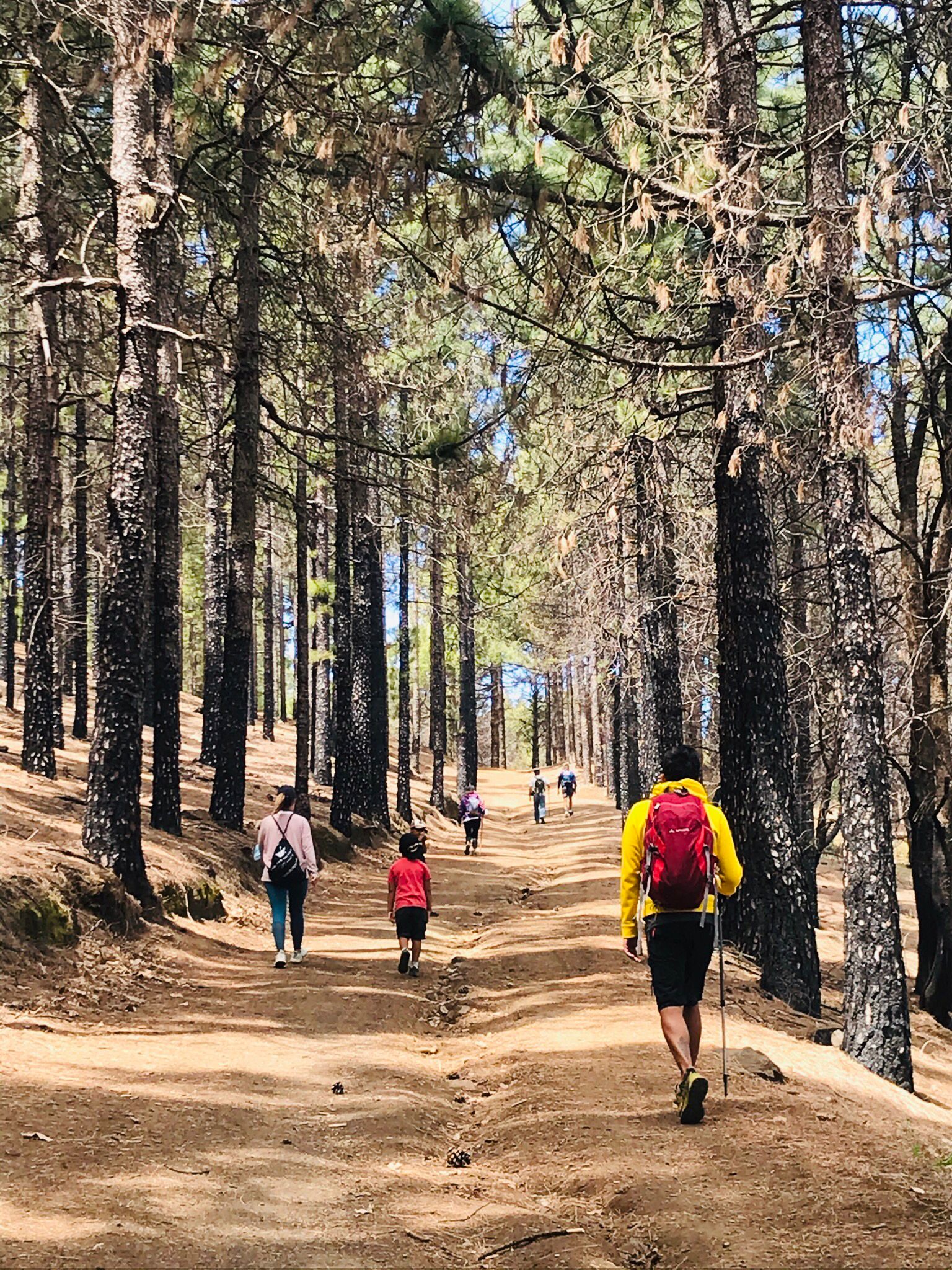 (ES) Cómo Vivir una Experiencia Cultural Canaria en tu Escapada Rural