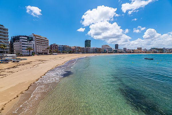 (ES) Descubre la biodiversidad marina de Las Canteras mientras te alojas a pie de playa