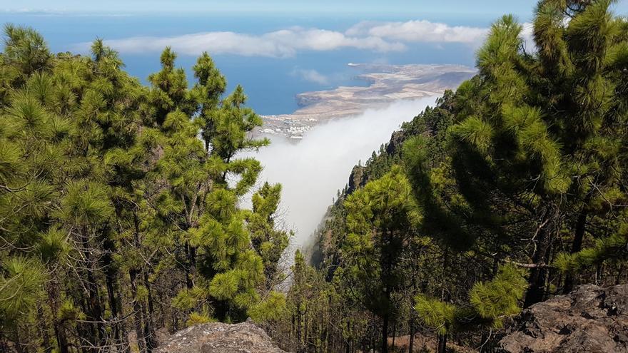 (ES) Viajar de forma consciente: 10 planes eco-friendly desde Las Canteras